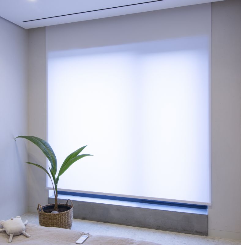 Motorized Window Shades