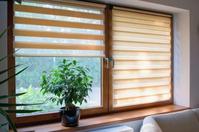Window Treatment Service